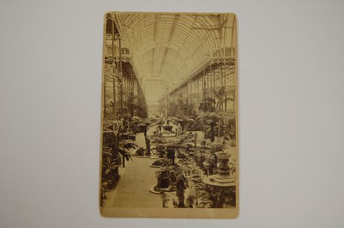 Interior view of the Nave with pond and  various plants, the Tropical Wing, Crystal Palace, Sydenham