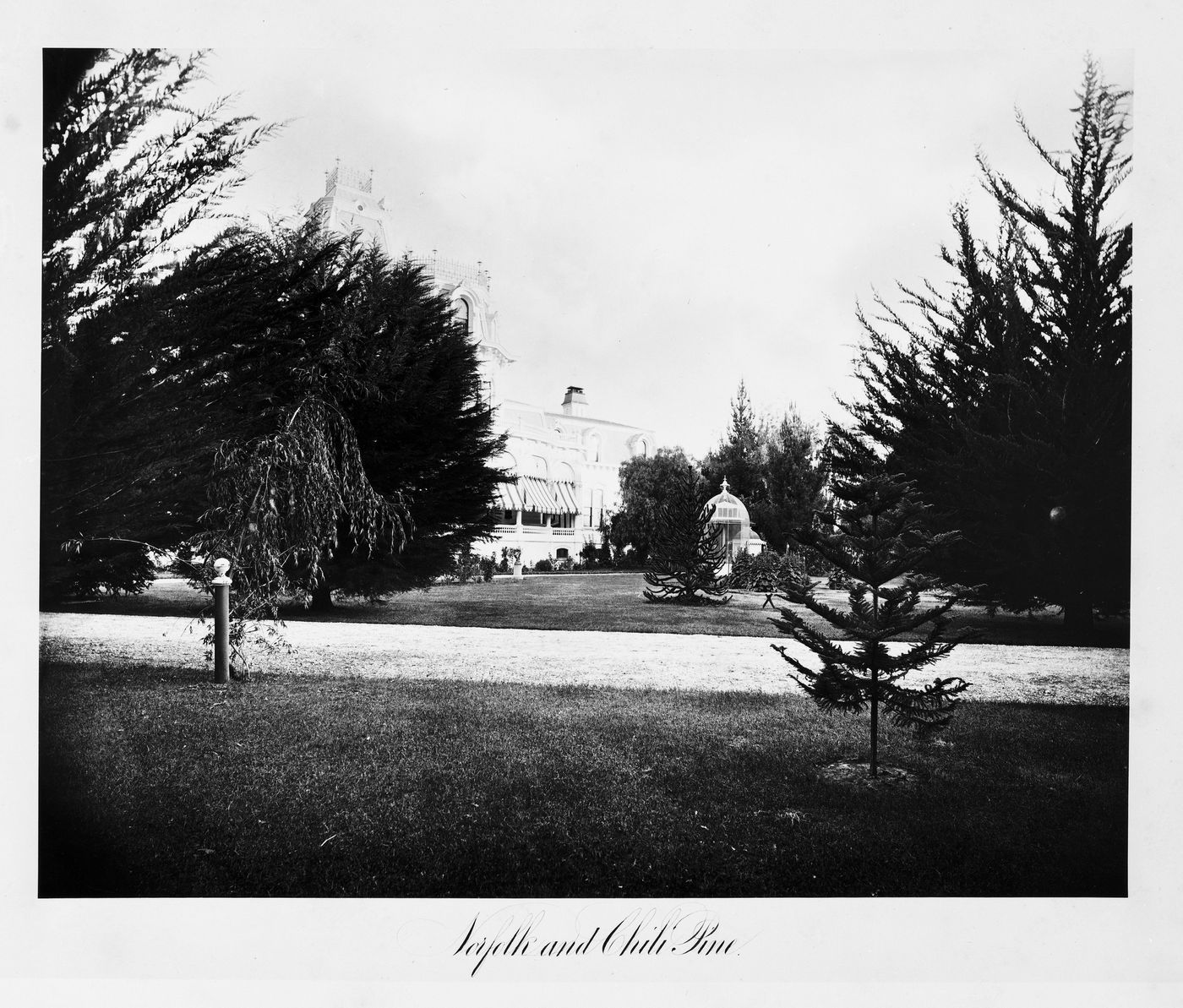 View of the exterior, house and grounds, Thurlow Lodge, Menlo Park, California