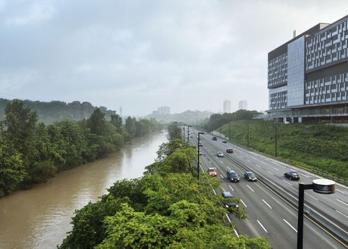 An Enduring Wilderness: Lower Don Parklands, Toronto
