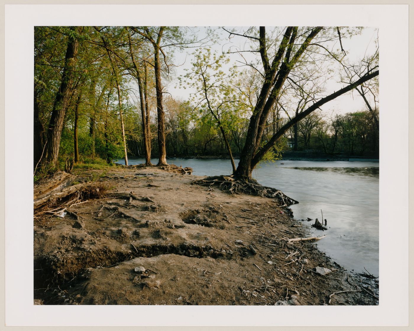 Viewing Olmsted: View of Desplaines River, Riverside, Illinois
