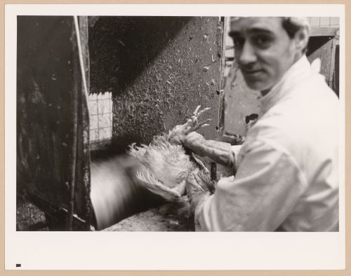 Montréal, Boulevard Saint-Laurent