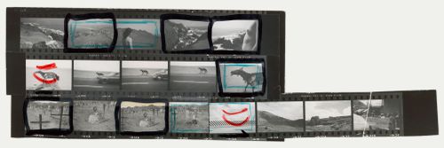 Strips of contact sheets of travel views, South America