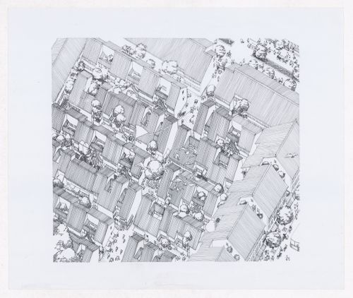 Axonometric view showing housing cluster for Sichuan housing project for "Housing a Billion: Urban Upgrading: Design Ideals for Rural China" publication