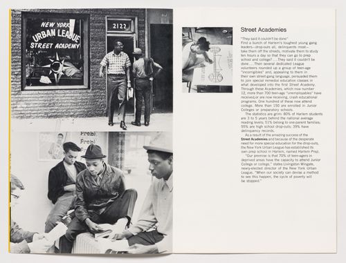 Program Plan for "Black Leadership Institute"