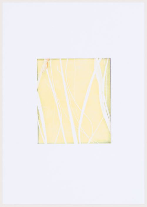 Sample of motif of vegetation for the decorative windows, Plaza y torre Woermann, Las Palmas, Canary Islands