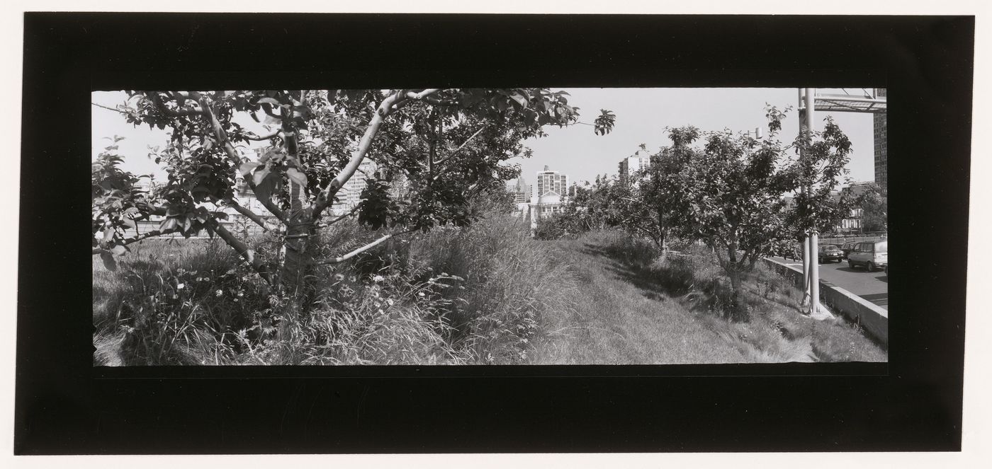 View of the orchard, CCA garden, Montréal, Québec, Canada