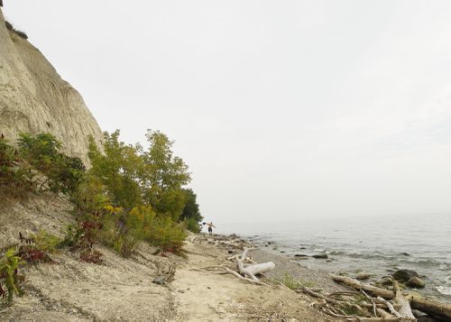 An Enduring Wilderness: East Point Park, Toronto