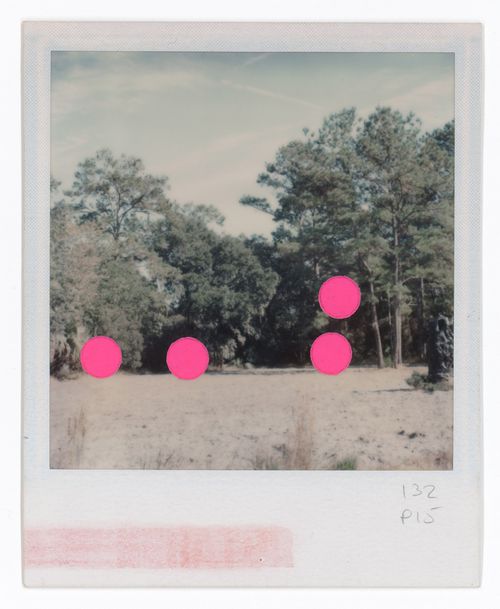 Generator, White Oak Plantation, Yulee, Florida: view of site