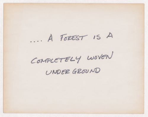 ...A forest is a  completely woven underground