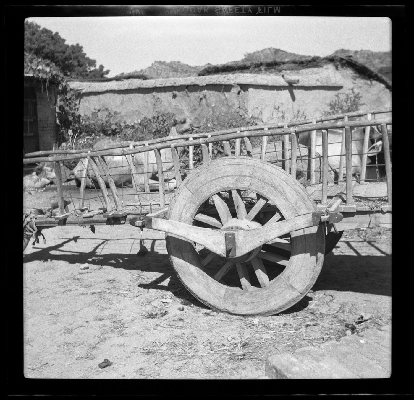 Cart near a rural house in Chandigarh's area before the construction, India