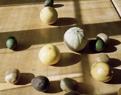 Nature Morte with Tropical fruit (Vang, Sweden, 2016) the Order of Lemons, the Order of the Melons