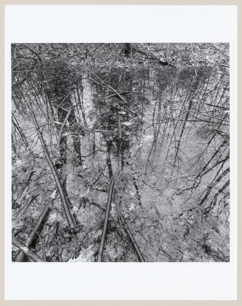 Middlesex Fells Metropolitan, Boston, Massachusetts