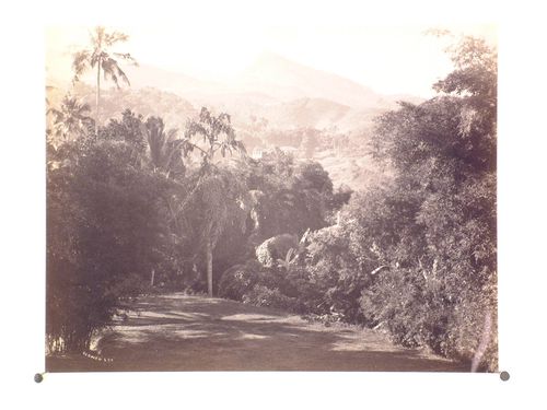 View of forests and mountains with the Hantana mountain range in the background and a clearing in the foreground, near Kandy, Ceylon (now Sri Lanka)
