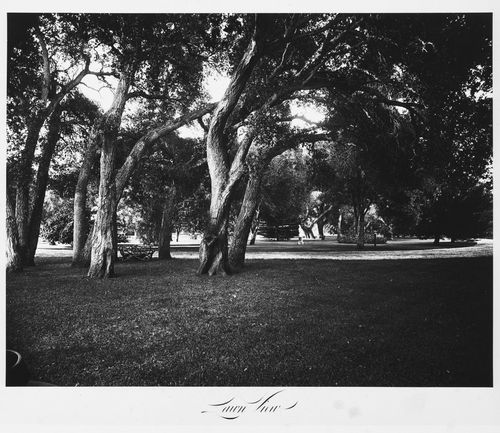 View of the estate grounds, Thurlow Lodge, Menlo Park, California
