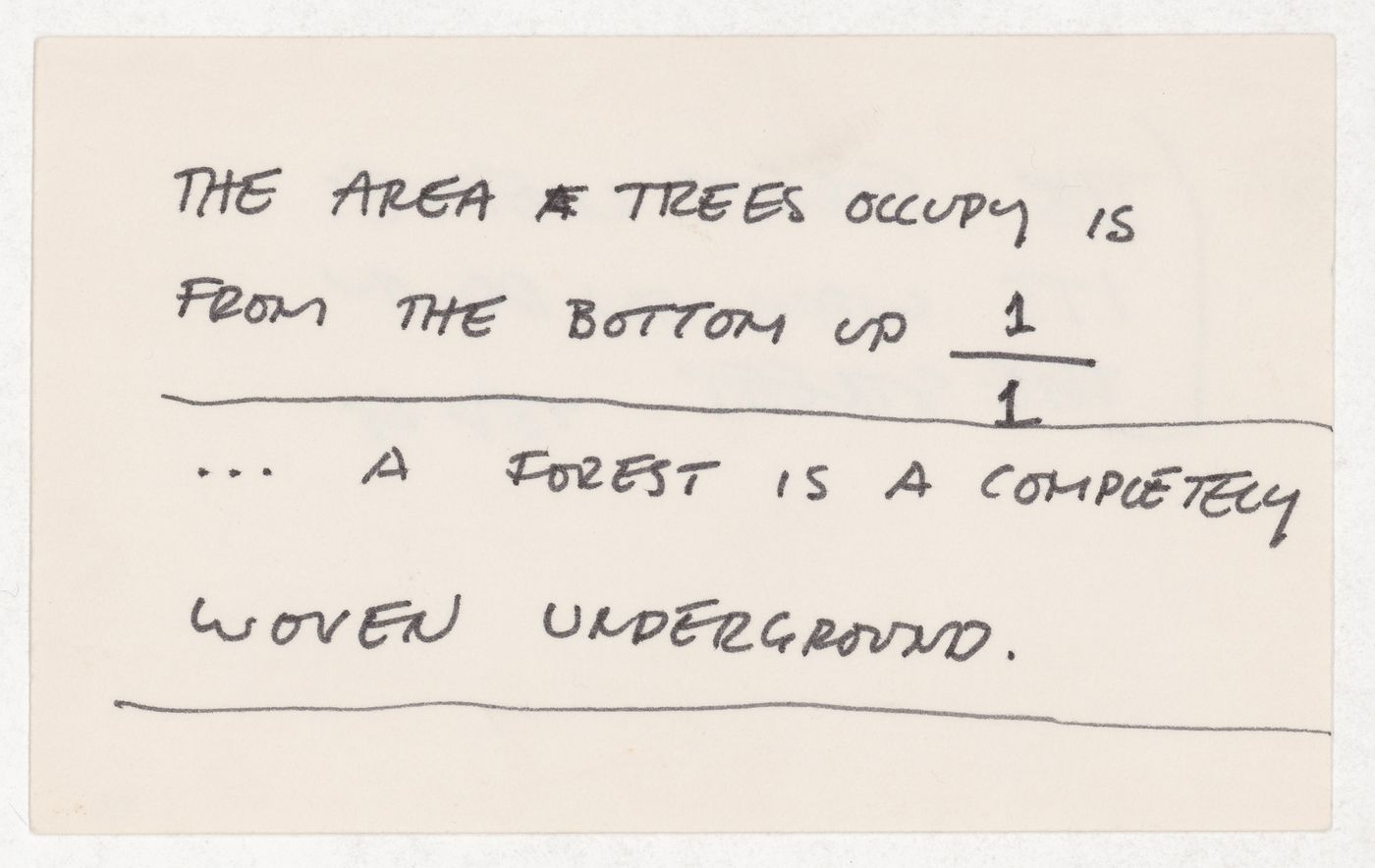 The area trees occupy is from the bottom up...; verso: The forest leaves its way on down the street