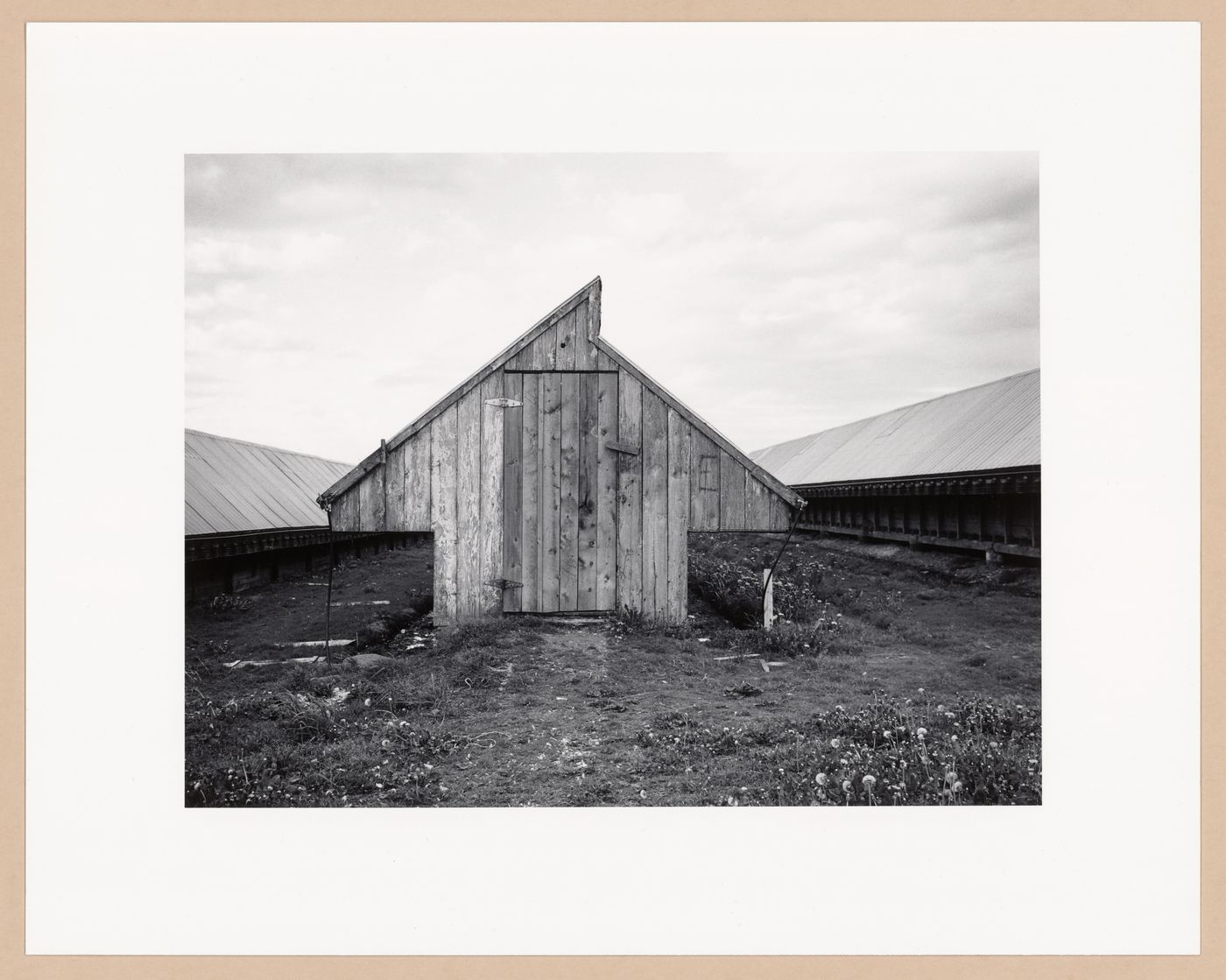 Mink shed, Louis J. Comeau Mink Ranch Ltd., Digby, Nova Scotia, from the series The Forms of Canadian Industrial Architecture