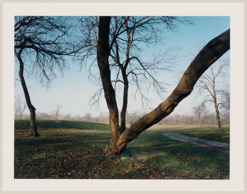 Viewing Olmsted: View of East side of park, Washington Park, Chicago, Illinois