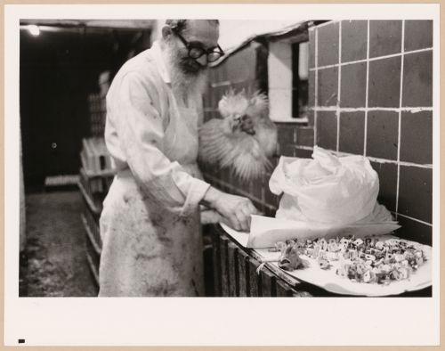 Montréal, Boulevard Saint-Laurent