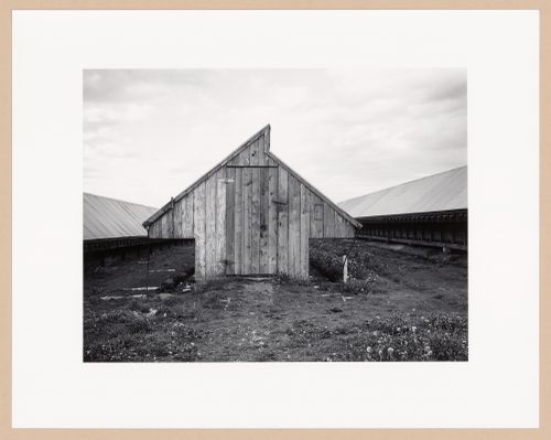 Mink shed, Louis J. Comeau Mink Ranch Ltd., Digby, Nova Scotia, from the series The Forms of Canadian Industrial Architecture