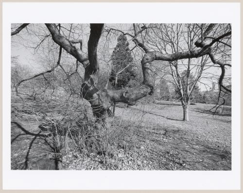 Central Park, Manhattan, New York City, New York