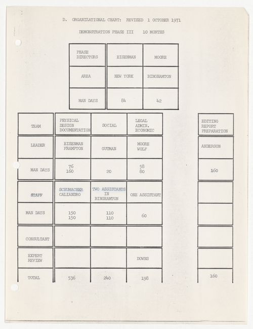Organizational chart for demonstration phase III, Binghamton Street Study