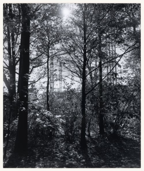 View of trees showing jib cranes in the background, Berlin, Germany, from the artist book "The Potsdamer Project"