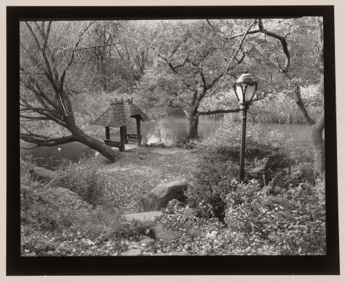 Detail of Lake with Rustic Lookout, Central Park, New York City, New York