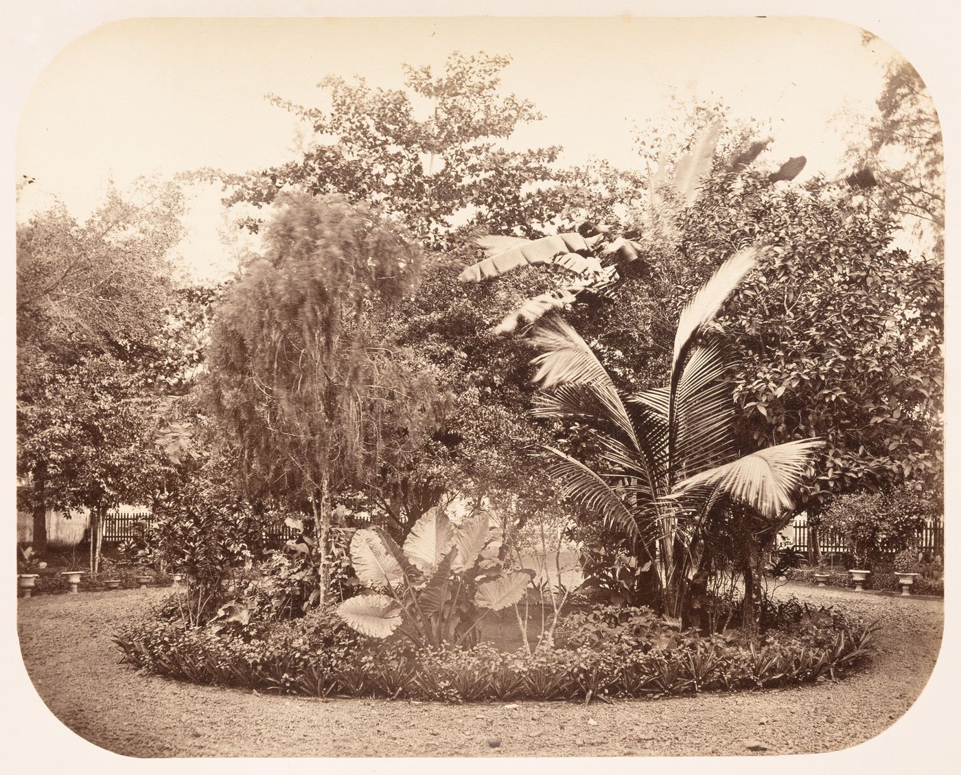 View of a garden showing trees and a walkway, Dutch East Indies (now Indonesia)