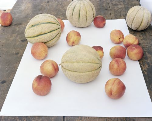 Nature Morte with Melons and Peaches