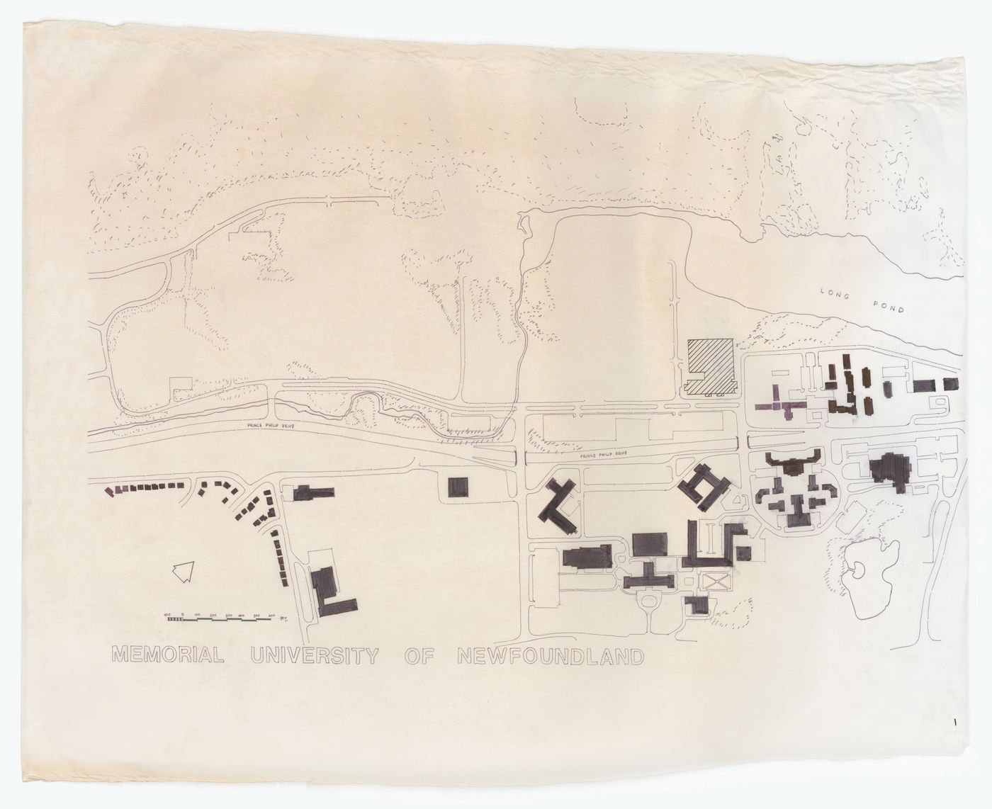 Site plan for Memorial University of Newfoundland, Health Sciences Complex, St. Johns, Newfoundland