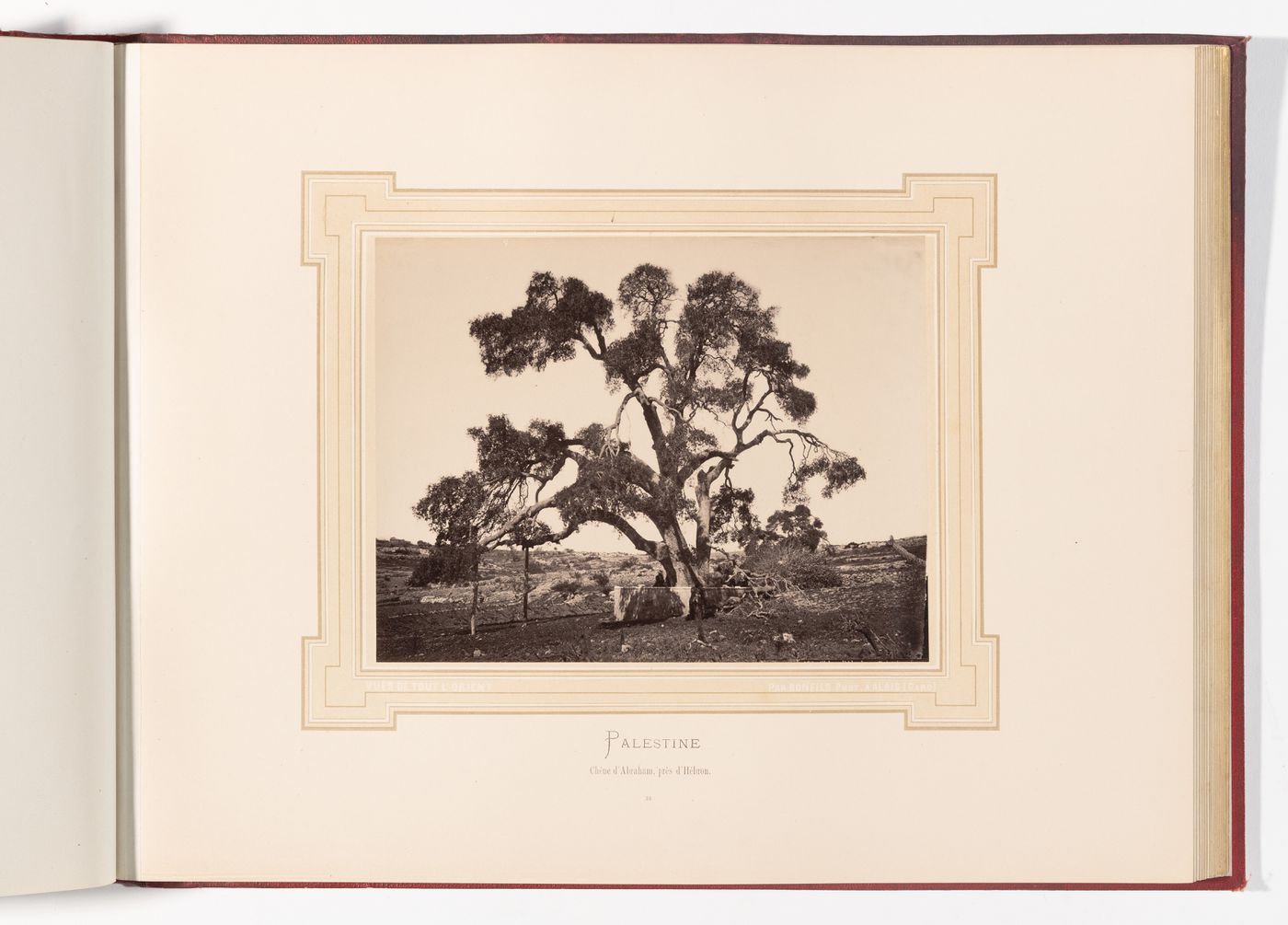 Chene d'Abraham, pres d'Hebron