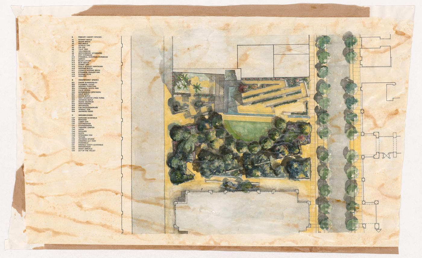 Landscape plan for the competition for Bay Adelaide Park, Toronto