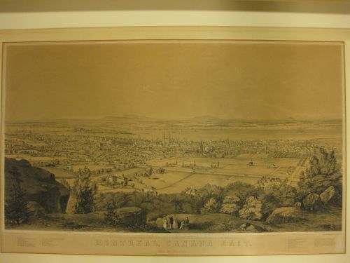 MONTREAL, CANADA EAST. / From the Mountain