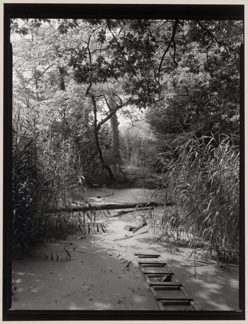 Pond behind the Music Grove, Prospect Park, Brooklyn, New York City, New York