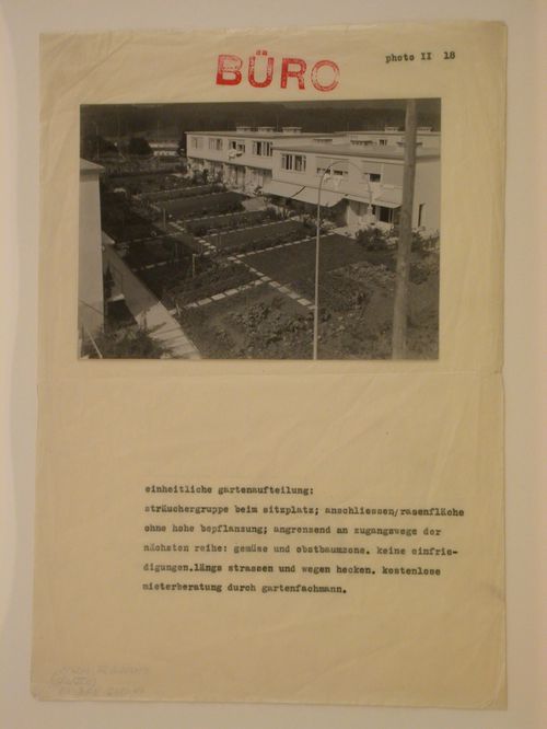 Exterior view of the gardens between Type C [?] row houses showing patios and plantings, Werkbundsiedlung Neubühl, Zurich, Switzerland
