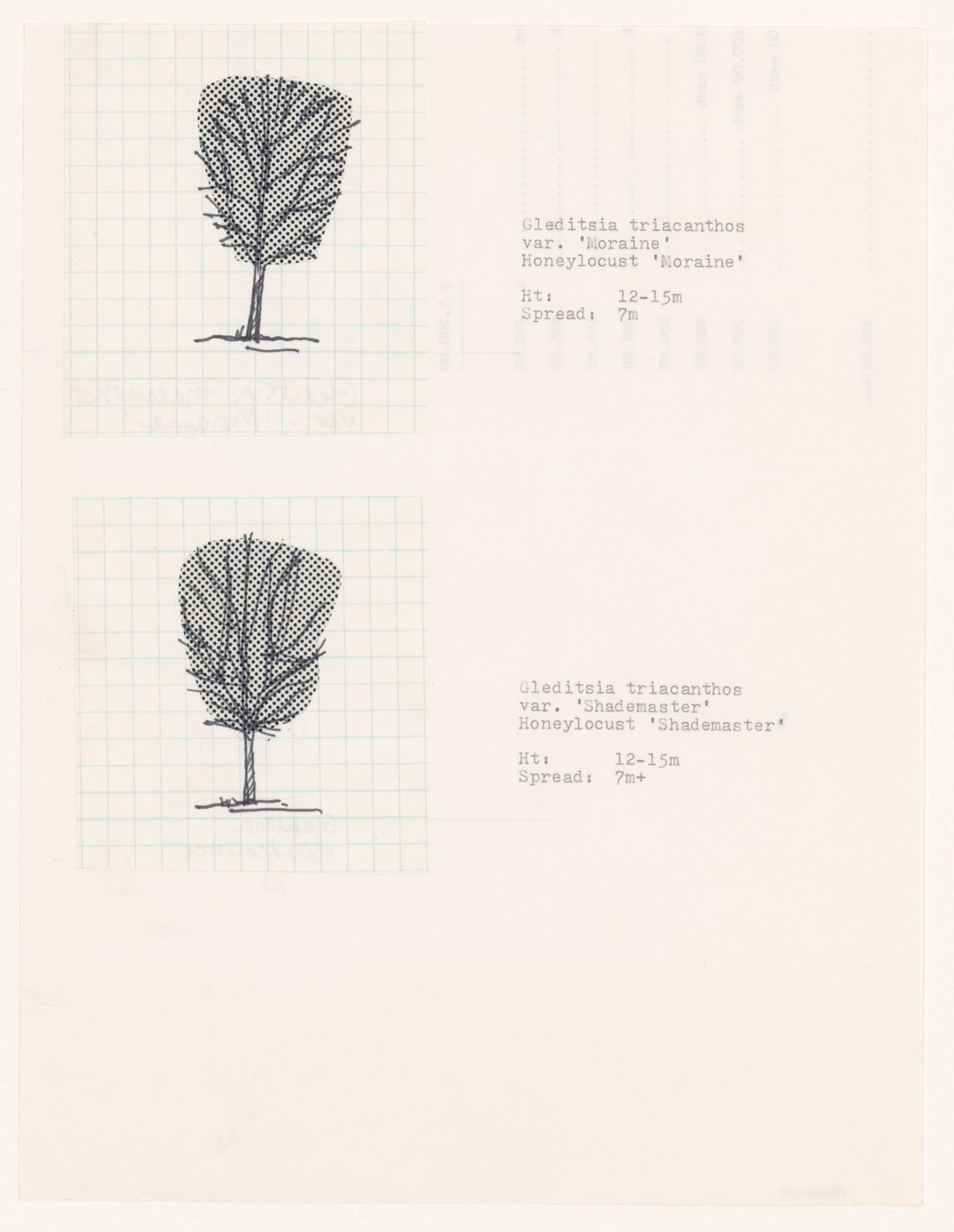 Plant specifications with illustration of specimens for National Gallery of Canada, Ottawa, Ontario