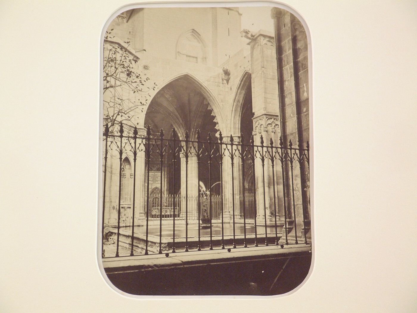 Cloister of the Barcelona Cathedral