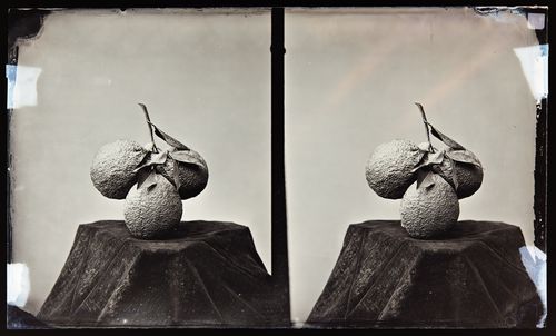 Stereograph of oranges, California, United States of America