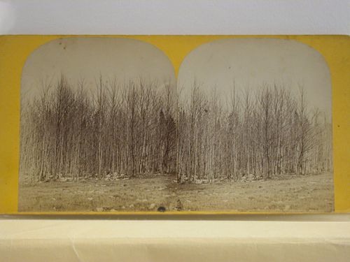 Coaticook Village, Quebec