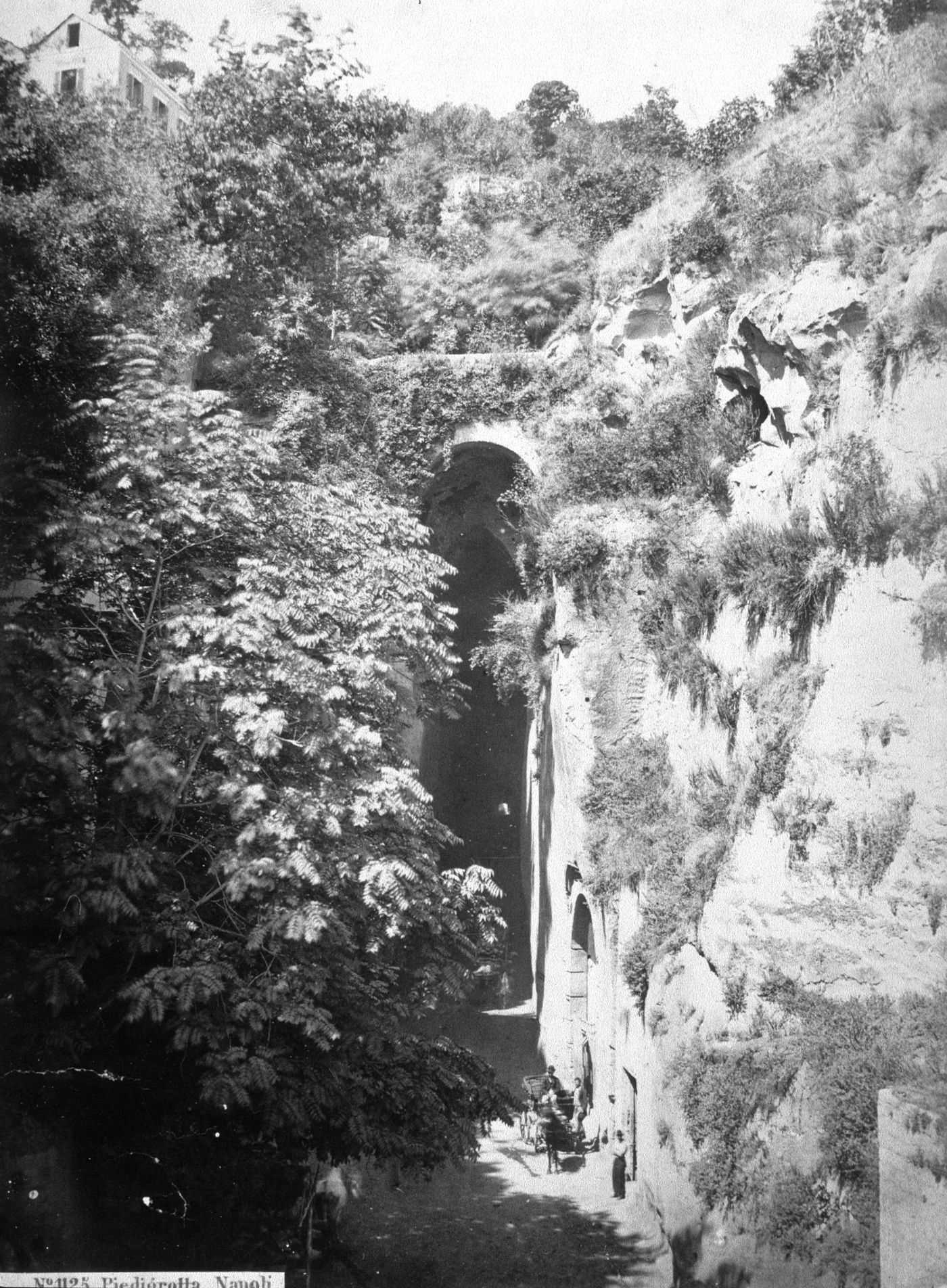 Plate from album ''Views of Italy, Monaco, Algers, Lisbonne, Gibraltar and Montserrat by various photographers''