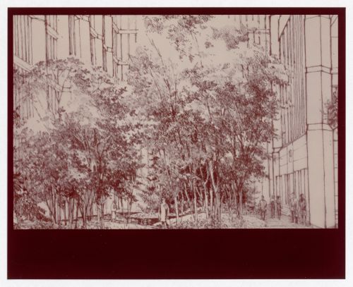 Perspective of garden court for Bank of Canada Building, Ottawa, Ontario