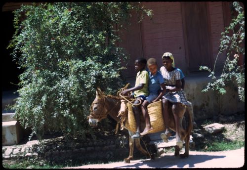 People on donkey, Haiti