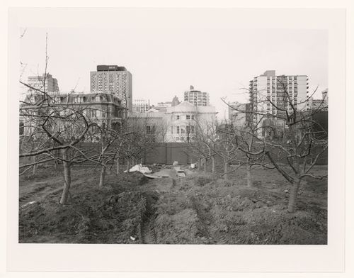 View of the Canadian Centre for Architecture through the Orchard of the Canadian Centre for Architecture Garden under construction, Montréal, Québec
