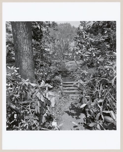 Newton Boulevard Syndicate, Newton Centre, Massachusetts