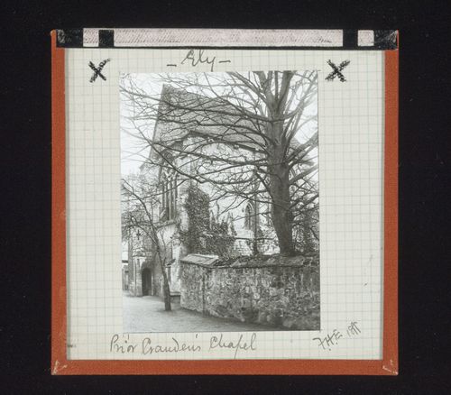 View of Prior Crauden's Chapel through tree, Ely Cathedral, Ely, Cambridgeshire, England