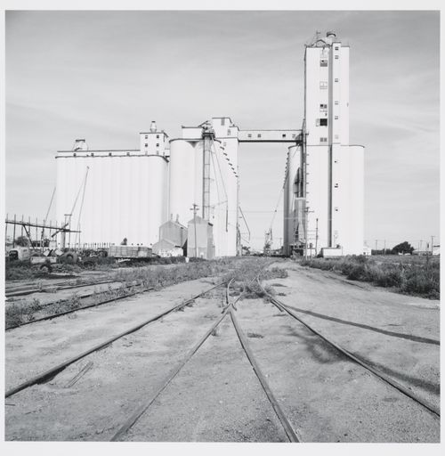 Harvest queen Elevators - Plainview, Texas 1975