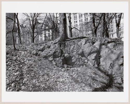 Central Park, New York City, New York