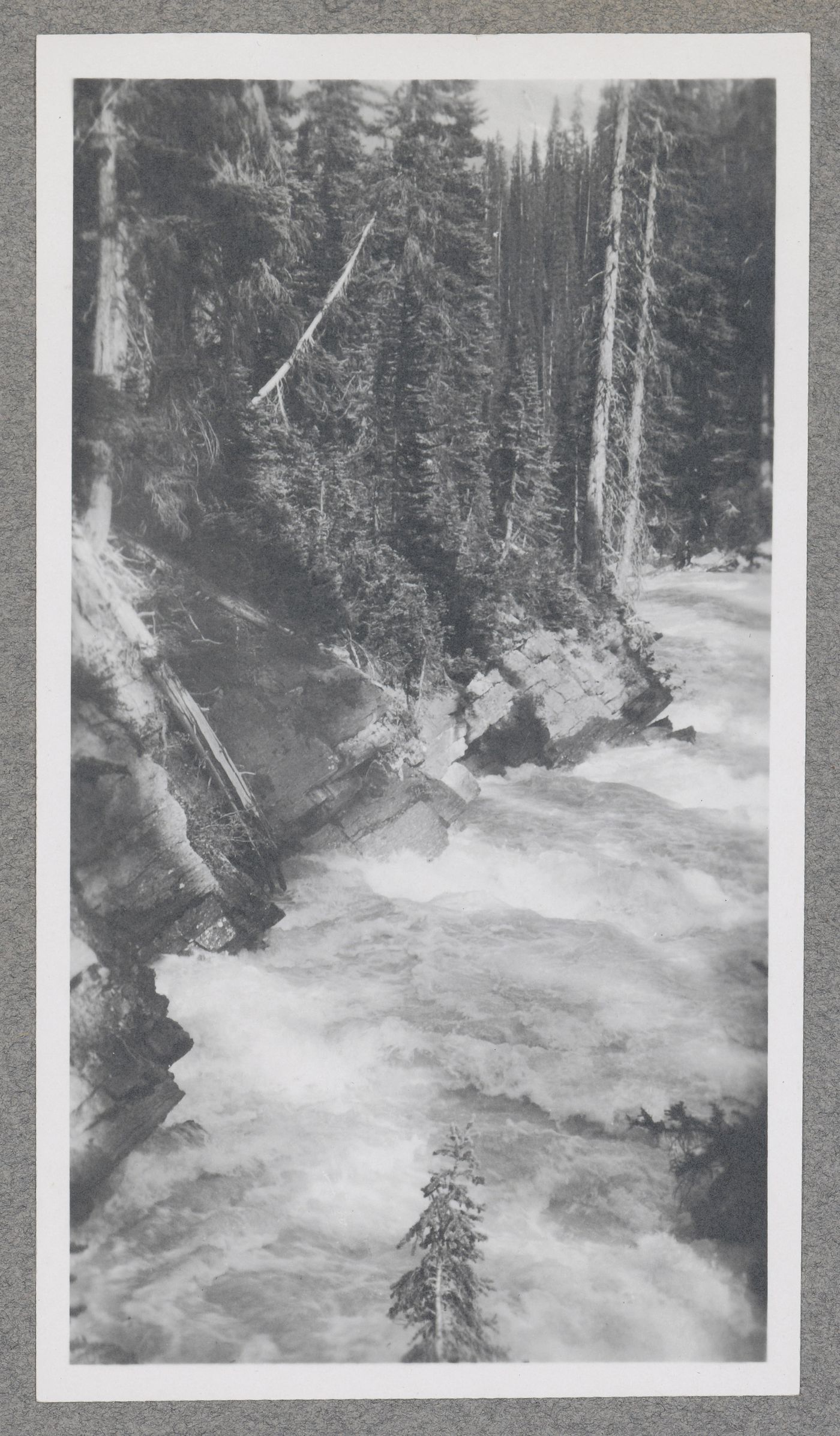 View of Little Yoho River, Yoho National Park, Yoho Valley, British Columbia