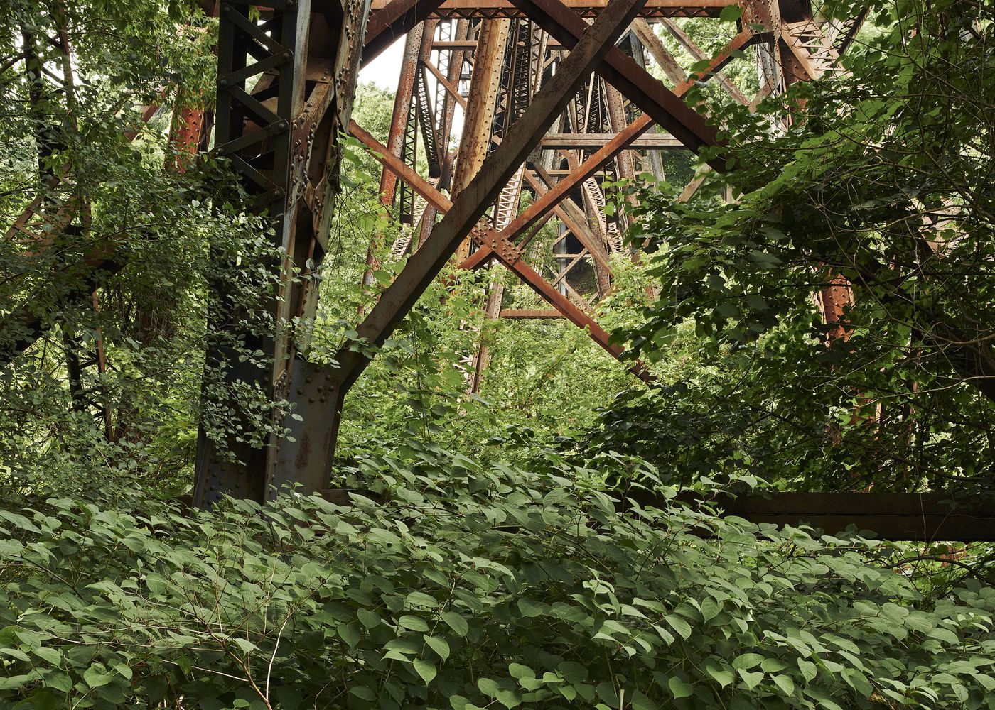 An Enduring Wilderness: CP railway bridge, E.T. Seton Park, Toronto
