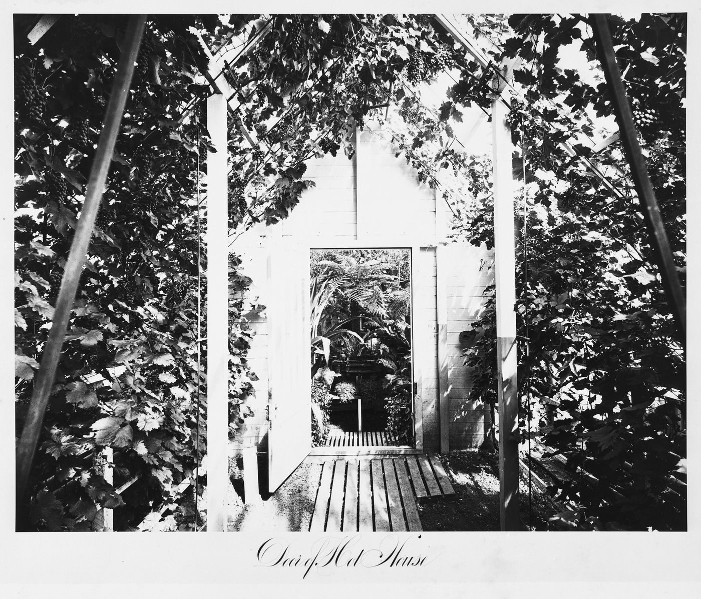 View of the hot house, Thurlow Lodge, Menlo Park, California